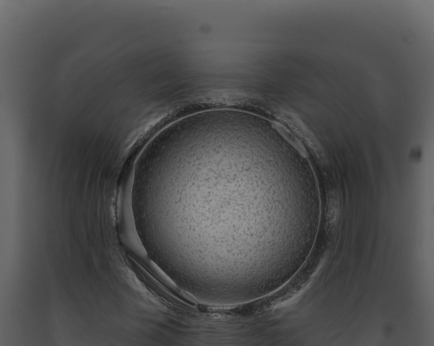 X0000093500585200710191251