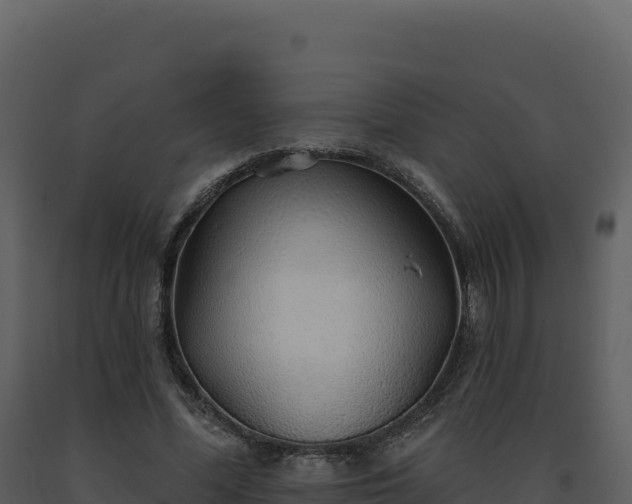 X0000093500588200710191251