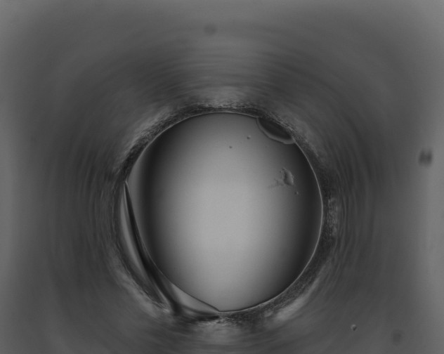 X0000093500589200710191251