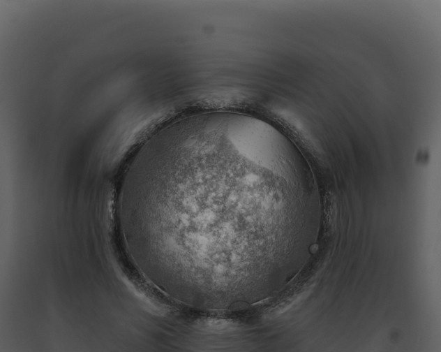 X0000093500590200710191251