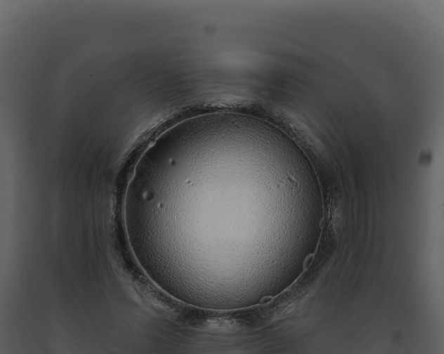 X0000093500591200710191251