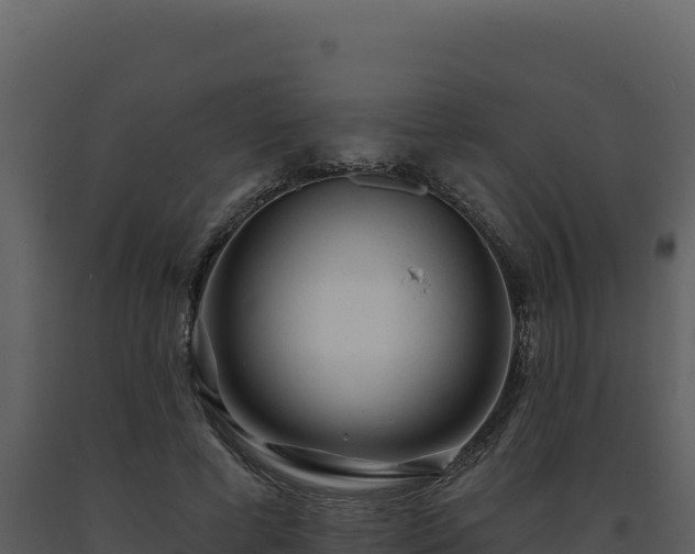X0000093500593200710191251