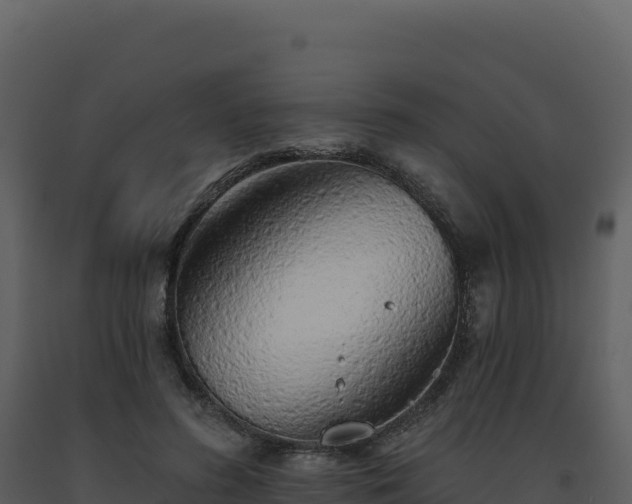 X0000093500596200710191251