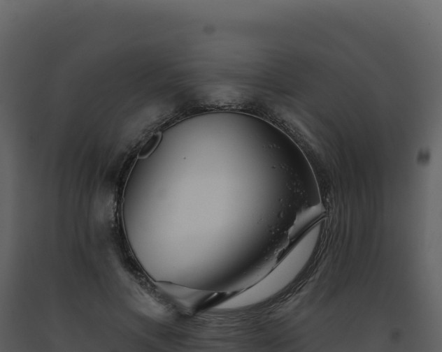 X0000093500597200710191251