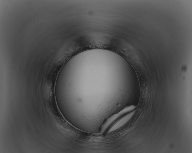 X0000093500599200710191251