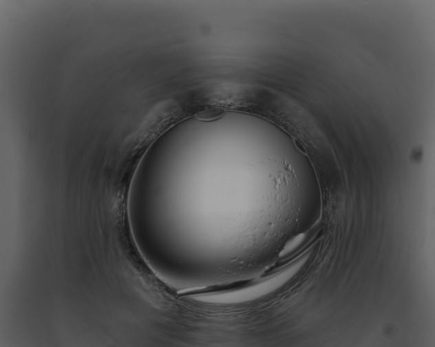 X0000093500601200710191251