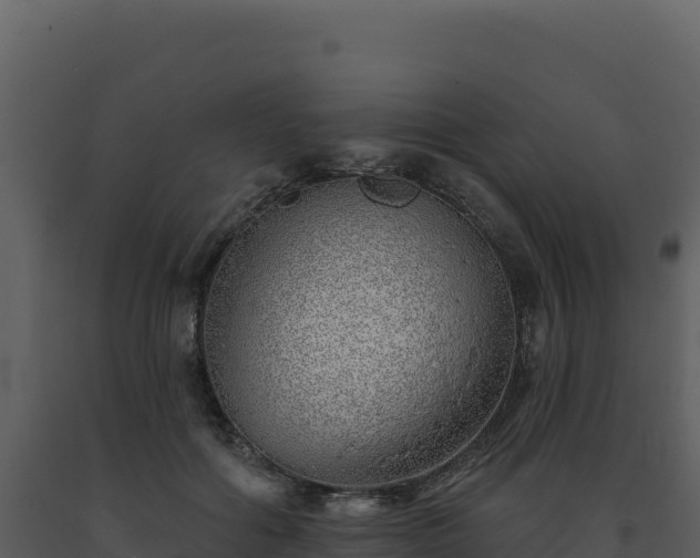 X0000093500602200710191251