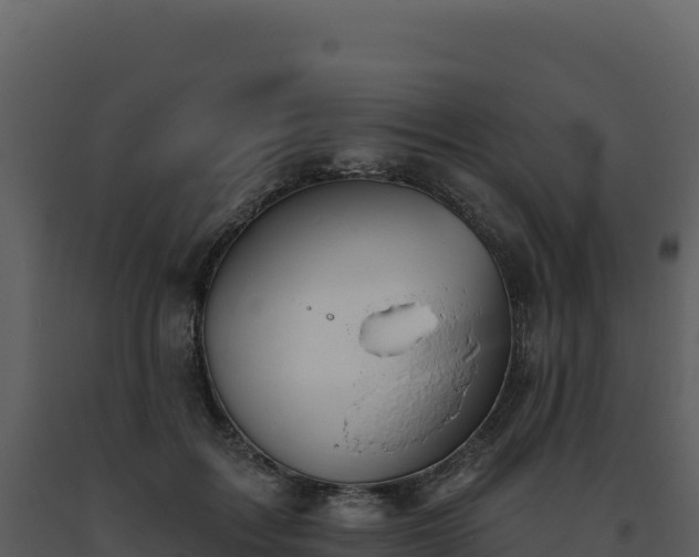 X0000093500603200710191251
