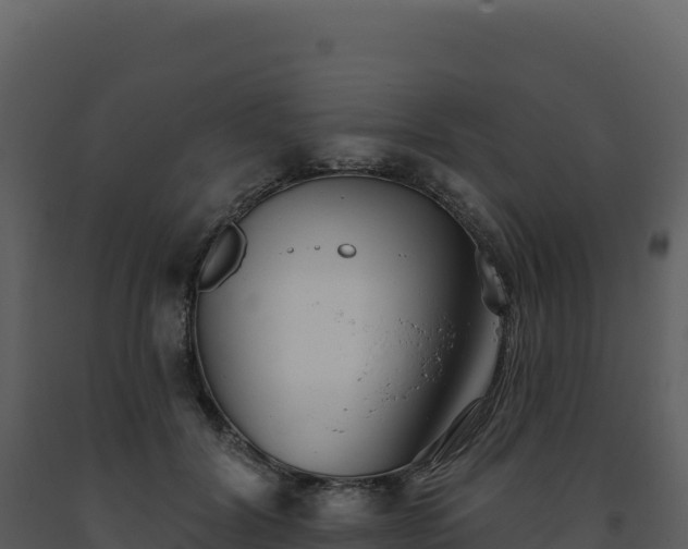 X0000093500604200710191251