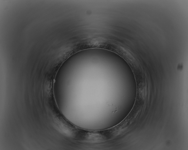 X0000093500605200710191251