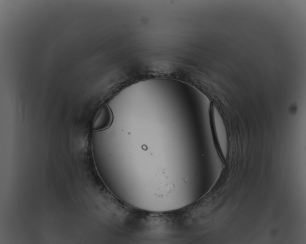 X0000093500608200710191250