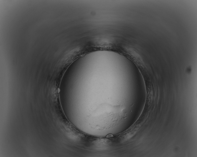 X0000093500609200710191250