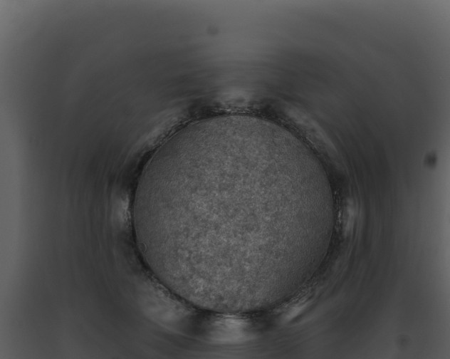X0000093500610200710191250