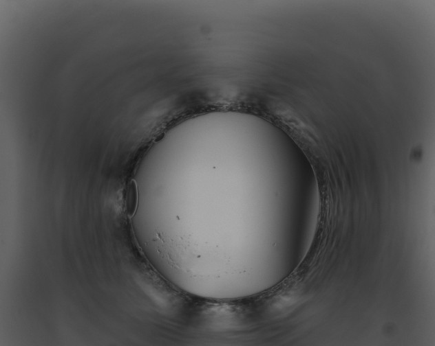 X0000093500611200710191250