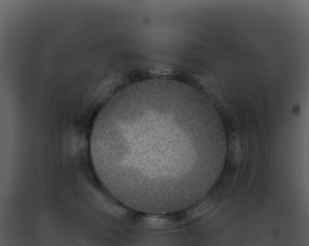 X0000093500614200710191250