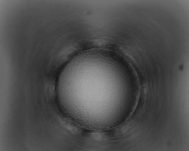 X0000093500615200710191250