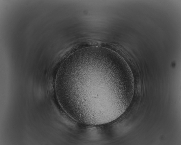 X0000093500616200710191250