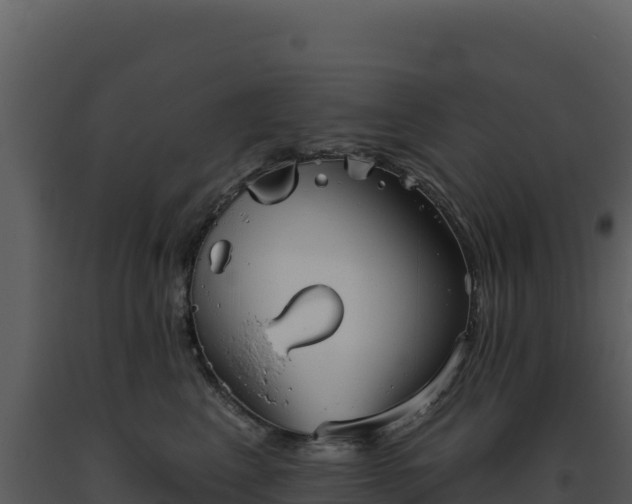 X0000093500617200710191250