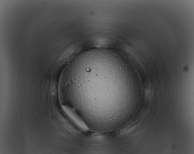 X0000093500620200710191250