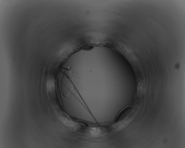 X0000093500623200710191250