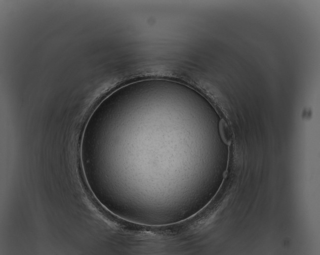 X0000093500625200710191249