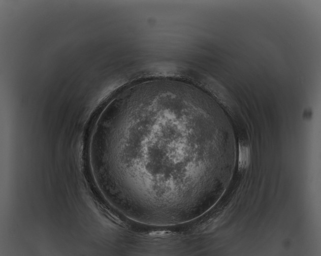 X0000093500627200710191249