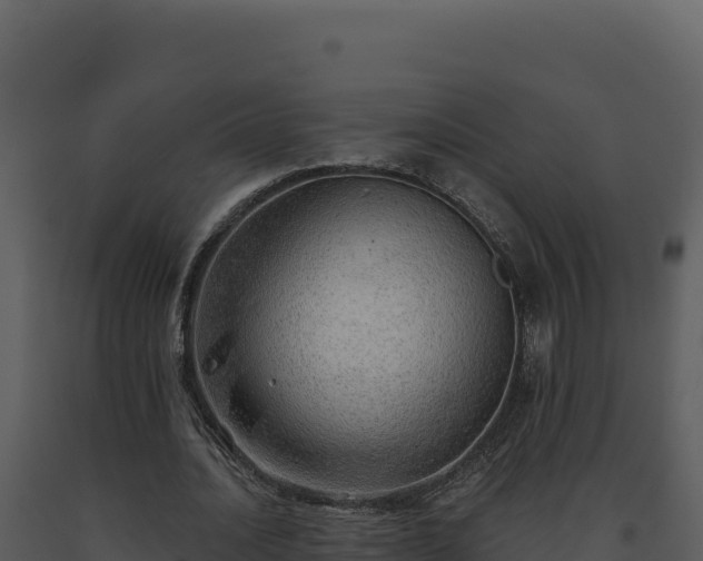 X0000093500628200710191249