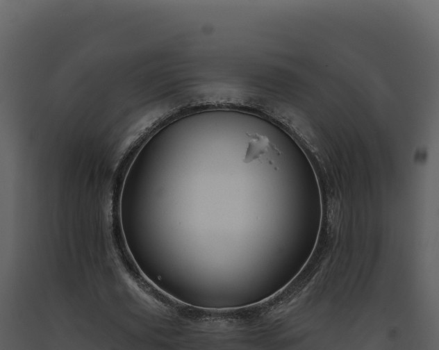 X0000093500629200710191249