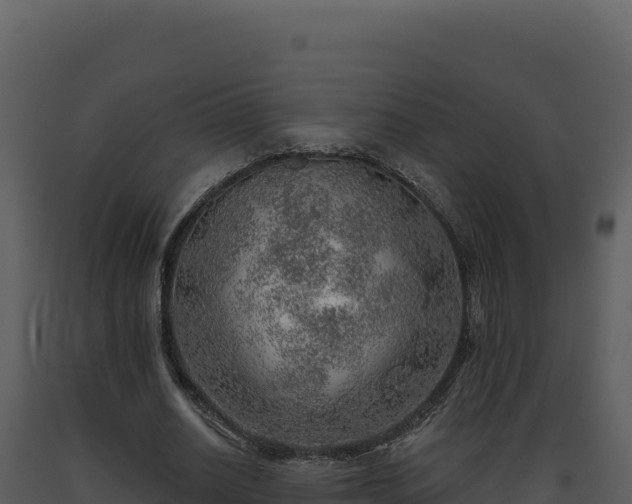X0000093500630200710191250