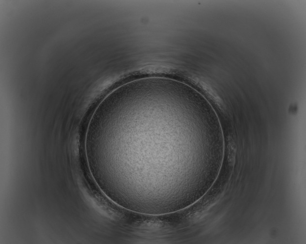 X0000093500631200710191250
