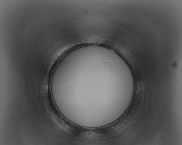 X0000093500632200710191250