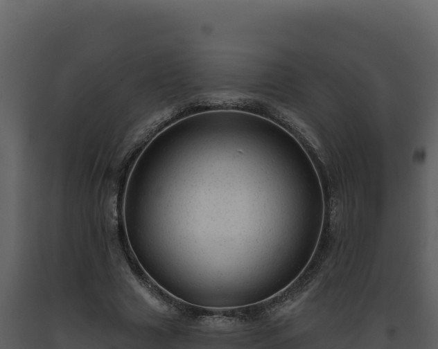 X0000093500633200710191250