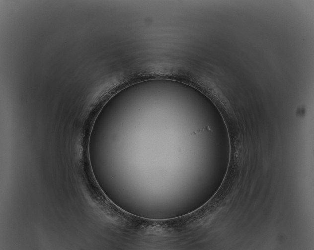 X0000093500635200710191250