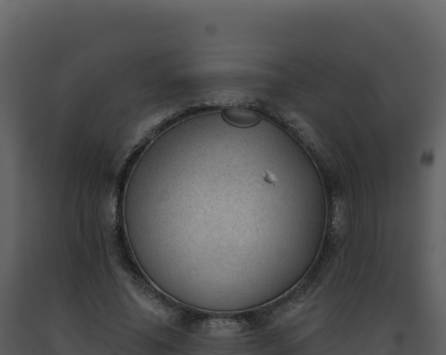 X0000093500636200710191250