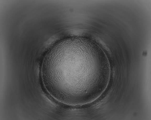 X0000093500637200710191250