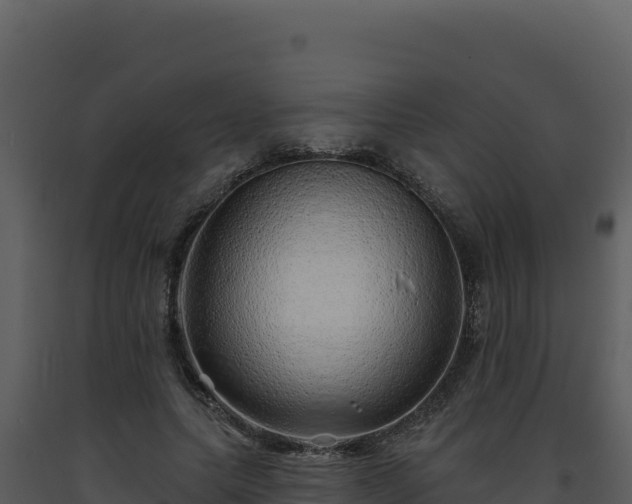 X0000093500639200710191250