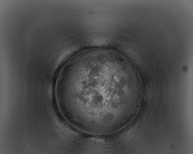 X0000093500640200710191250