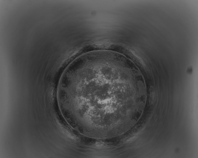 X0000093500641200710191250