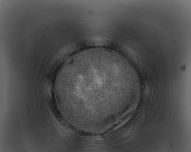 X0000093500643200710191250