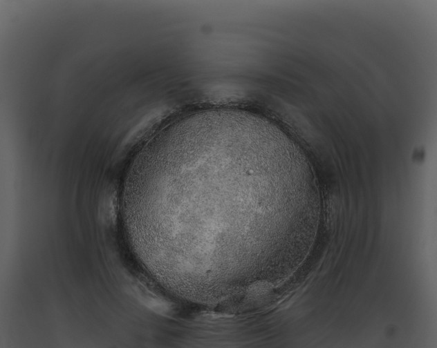 X0000093500644200710191250