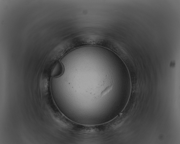 X0000093500646200710191250