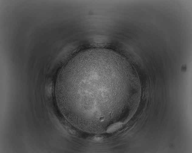 X0000093500647200710191250