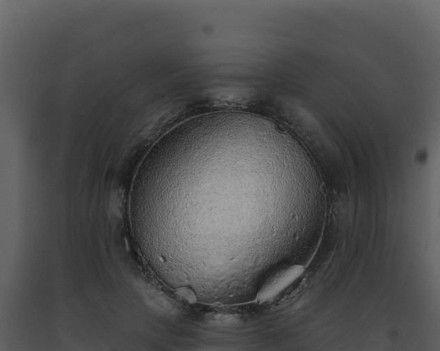 X0000093500649200710191250