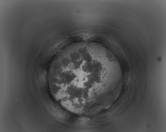 X0000093500650200710191250