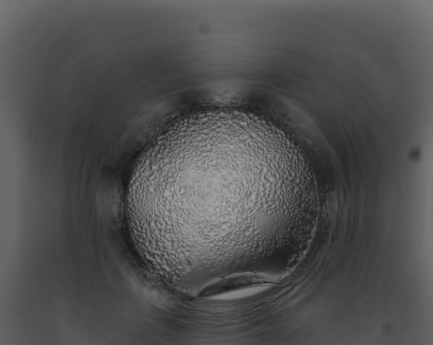 X0000093500651200710191250