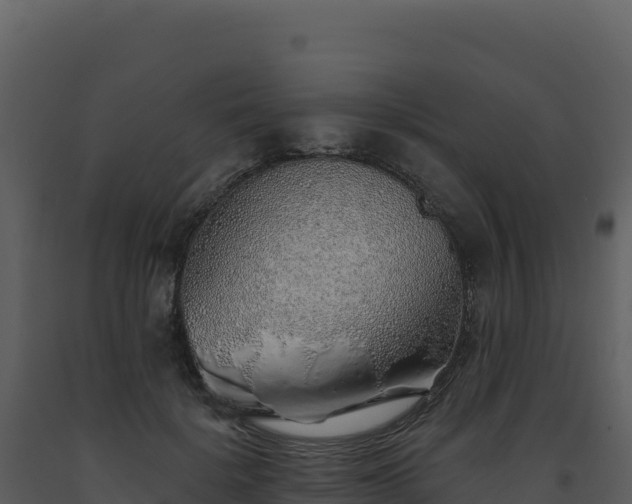 X0000093500652200710191250