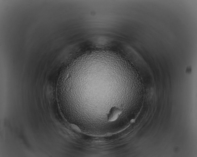 X0000093500653200710191250