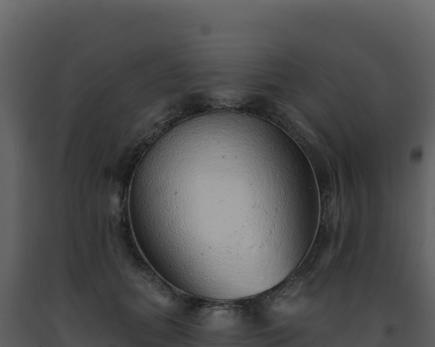 X0000093500655200710191250
