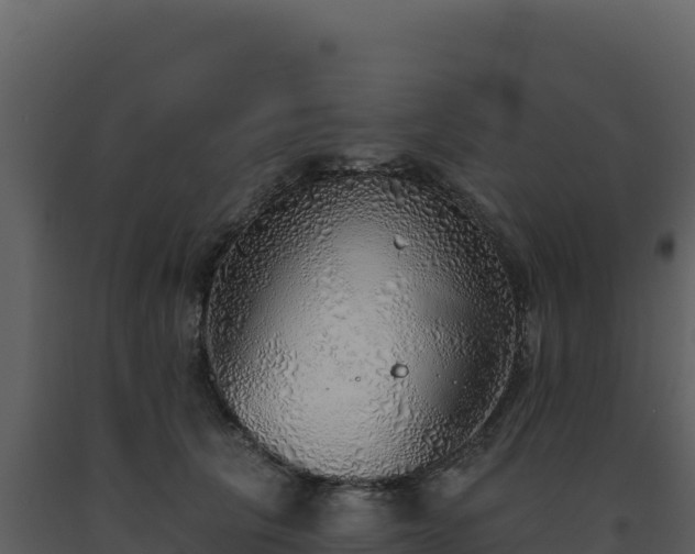 X0000093500657200710191250