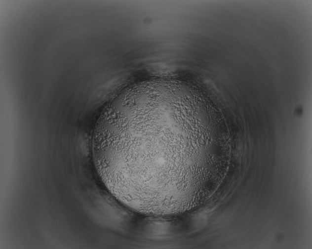 X0000093500658200710191250
